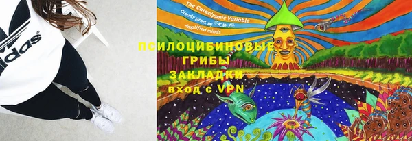 ПСИЛОЦИБИНОВЫЕ ГРИБЫ Верхний Тагил