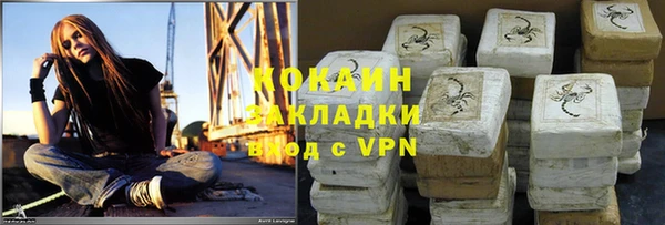 ПСИЛОЦИБИНОВЫЕ ГРИБЫ Верхний Тагил