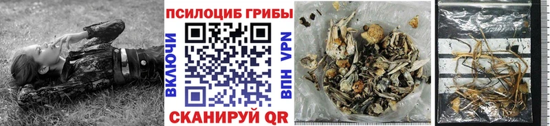 Псилоцибиновые грибы GOLDEN TEACHER Нефтекамск
